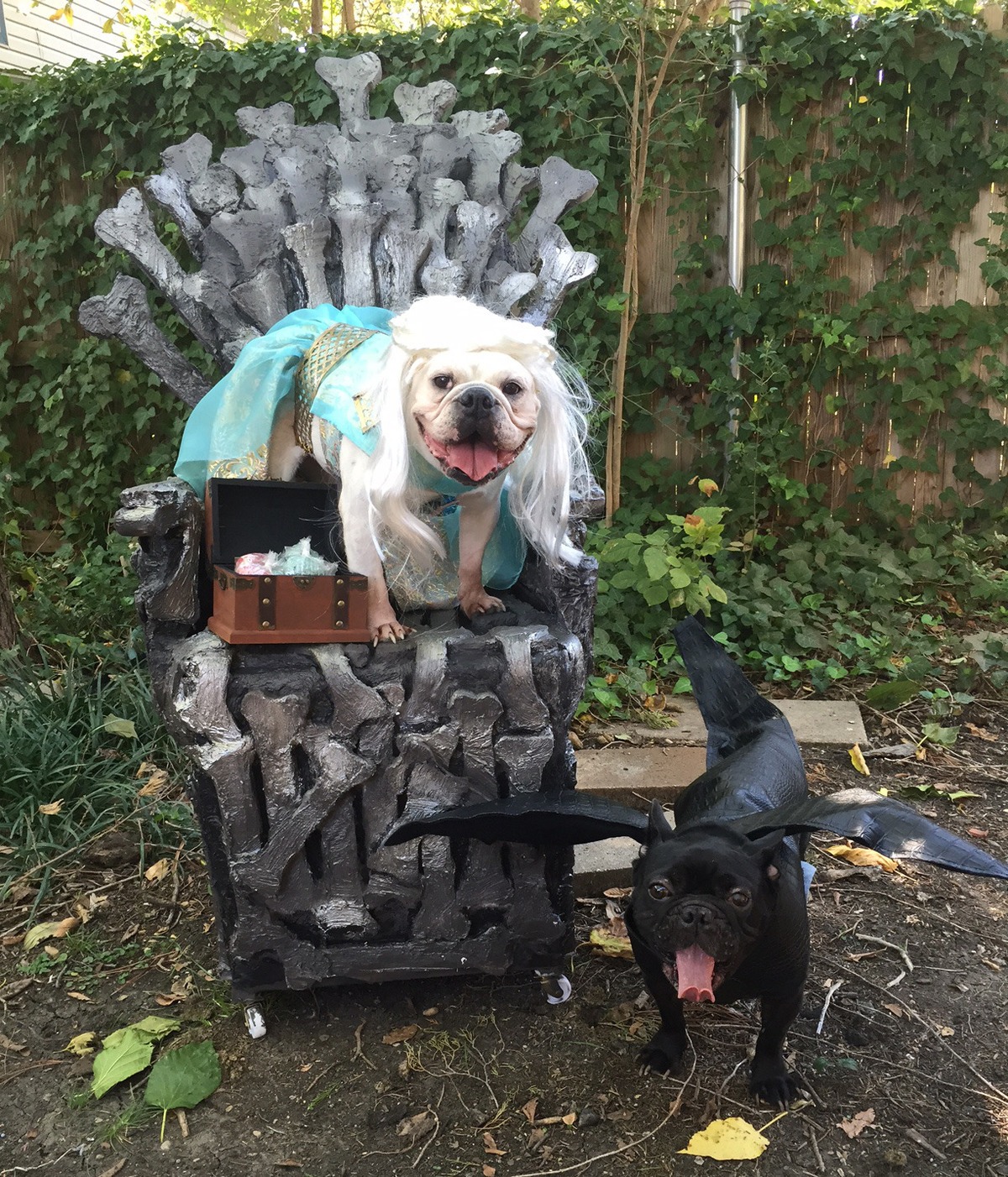 game-of-thrones-dogs